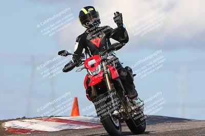 media/Feb-19-2024-Lets Ride (Mon) [[eb90a18fbf]]/Group C/1230pm (Grapevine)/